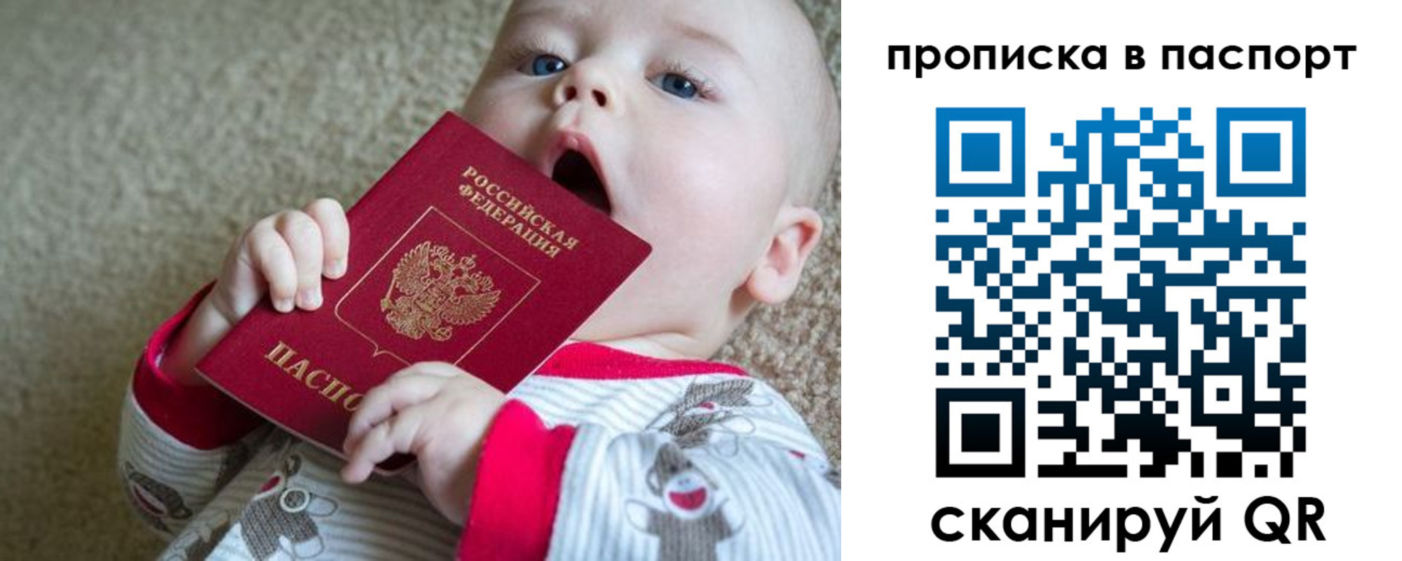 купить прописку в Нелидово